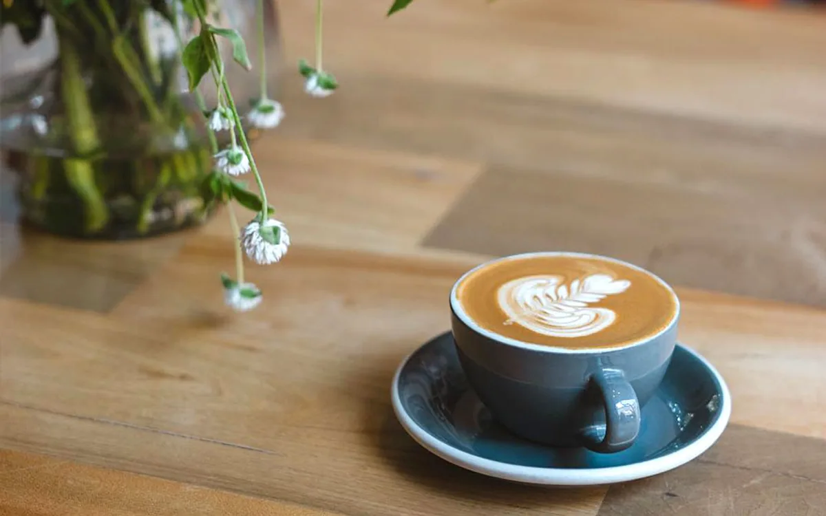 Bard Coffee — restaurant photograph