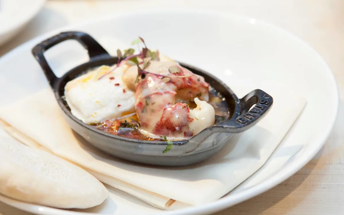 Evo Kitchen + Bar — restaurant photograph