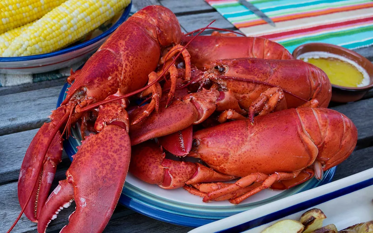Free Range Fish and Lobster — restaurant photograph
