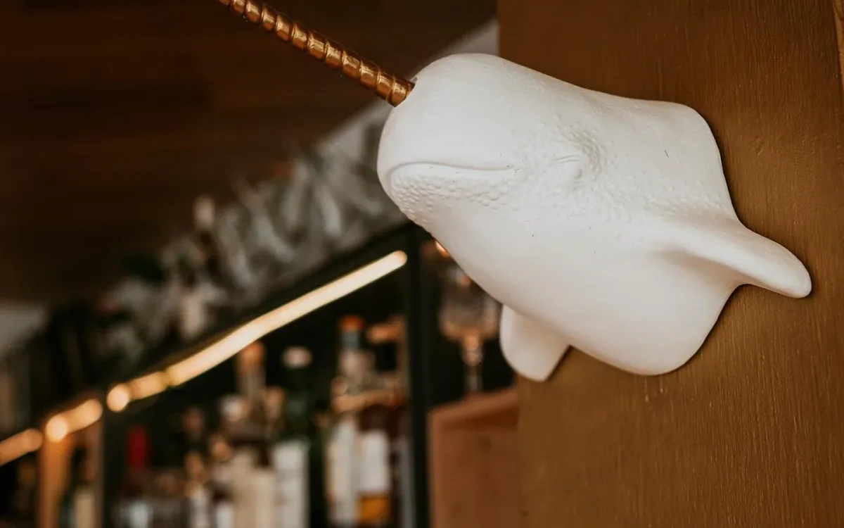 Narwhal, haters will say it&rsquo;s fake. 

It&rsquo;s Saturday night and day three of Biddeford/Saco Restaurant Week. Doors open at 5 pm! 

 #mysticalcreatures