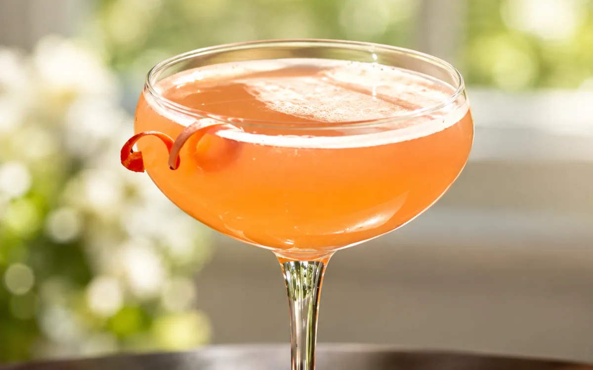 RSVP Discount Beverage — restaurant photograph